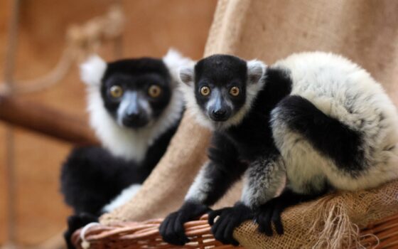 Zapraszamy do Gdańskiego Ogrodu Zoologicznego!