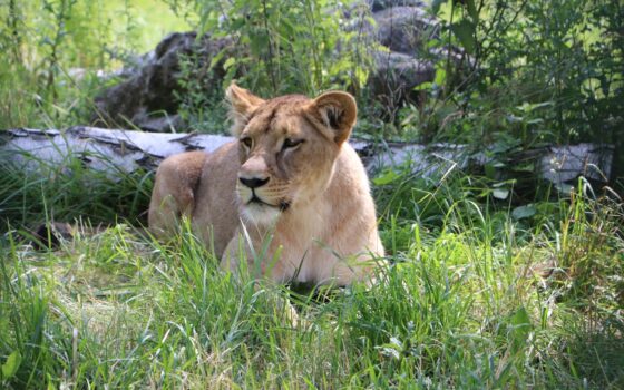 Maj(ówka) w gdańskim ZOO