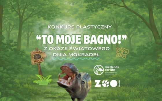 Konkurs plastyczny “To moje bagno!”