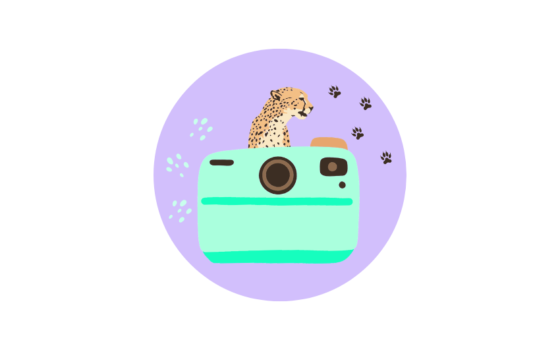 Gdański Ogród Zoologiczny - #Fota Bez Dzikiego Kota #Fota Bez Dzikiego Kota