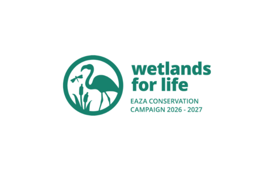 Wetlands for life