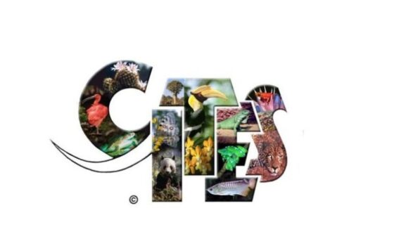 Światowy Dzień Dzikiej Przyrody