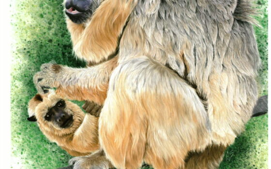 Wyniki Konkursu Plastycznego!