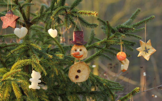 Święta, święta i po świętach