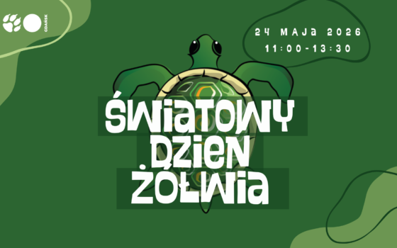 Światowy Dzień Żółwia