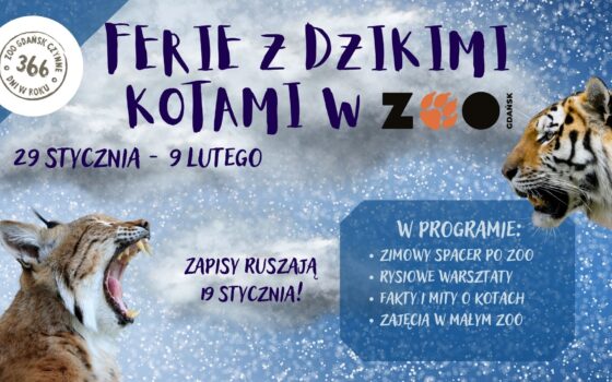 Ferie z dzikimi kotami