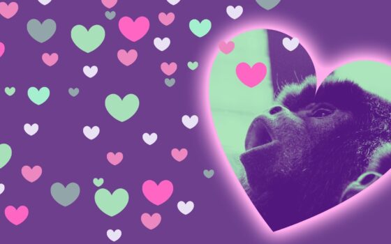 Miłosny Weekend w ZOO 2022