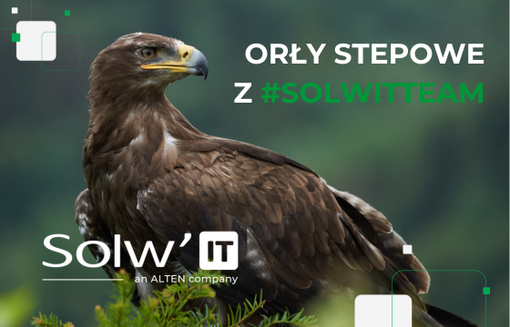 Orzeł stepowy - ZOO - Gdański Ogród Zoologiczny