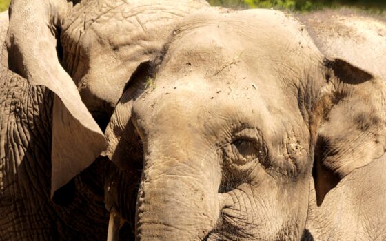 Katka i Viki obchodzą swoje święto!