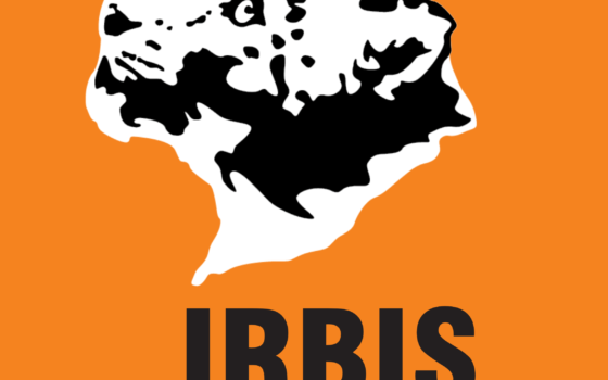 Konkurs Irbis