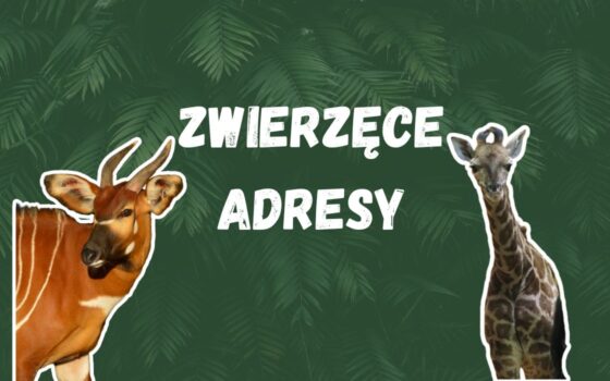 Gdański Ogród Zoologiczny - Zajęcia na sali edukacyjnej Zajęcia na sali edukacyjnej