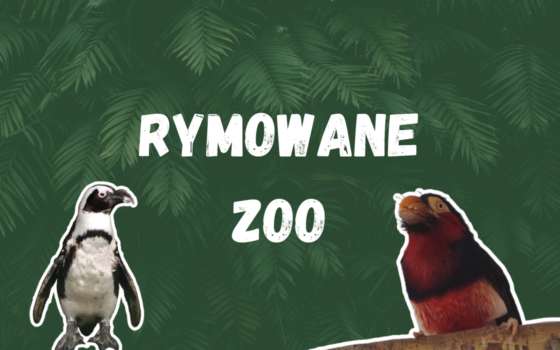 Gdański Ogród Zoologiczny - Zajęcia terenowe Zajęcia terenowe