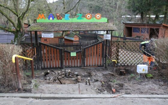 Gdański Ogród Zoologiczny - Modernizacja Małego Zoo Modernizacja Małego Zoo
