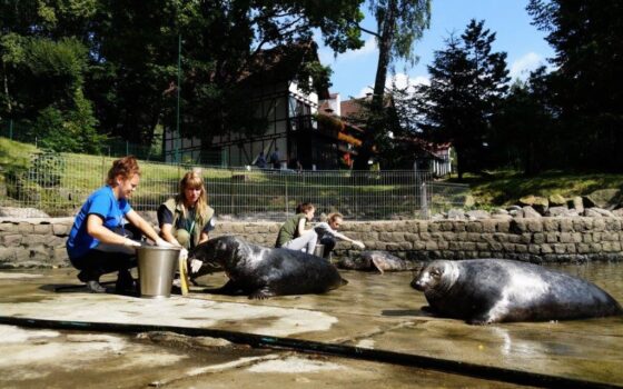 Poszukujemy Opiekunów zwierząt!