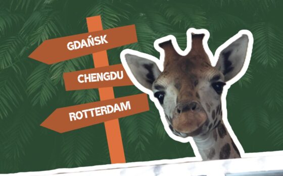 Skąd są zwierzęta w zoo?