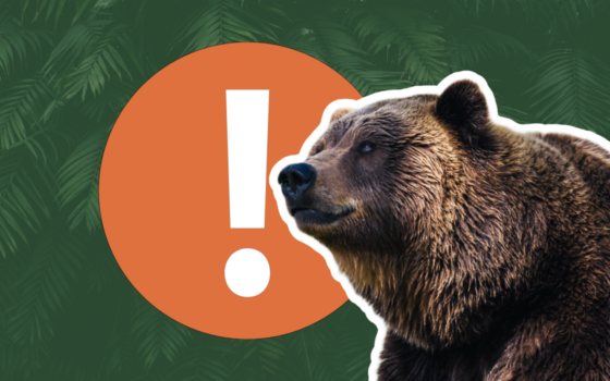 Gdański Ogród Zoologiczny - Uwaga! Zwierz! Uwaga! Zwierz!