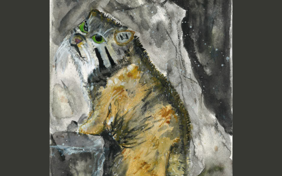 Wyniki konkursu plastycznego!