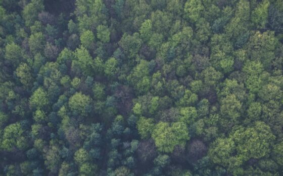 Dzień Dzikiej Przyrody