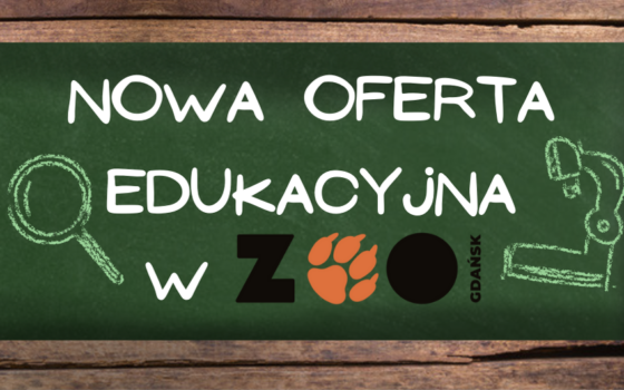 Nowe lekcje w ZOO!