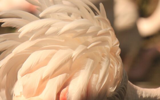 Majówka w ZOO Gdańsk