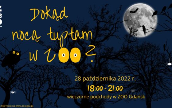 Dokąd nocą tuptam w zoo