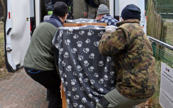 Początek 2024 roku – transfery, narodziny i aktywna edukacja!