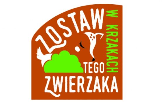 Gdański Ogród Zoologiczny - Nie bądź porywaczem! Nie bądź porywaczem!