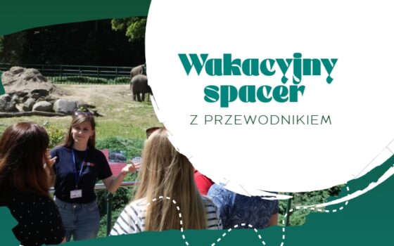 Wakacyjny spacer z przewodnikiem